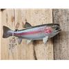 Image 4 : 17" Rainbow Trout Real Skin Fish Taxidermy
