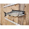 Image 5 : 40" King Salmon Real Skin Fish Taxidermy