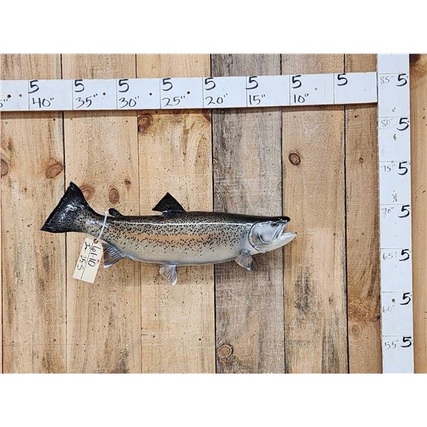 28" Trout Real Skin Fish Taxidermy