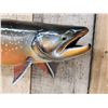 Image 5 : 28" Arctic Char Real Skin Fish Taxidermy