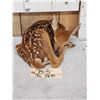 Image 3 : Whitetail Fawn Laying Down Full Body Taxidermy Mount