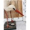 Image 5 : White Stork Full Body Bird Taxidermy