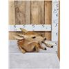 Image 3 : Fallow Deer Fawn Full Body Taxidermy Mount