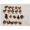 Image 1 : Set Of 20 Grizzly Bear Claws Taxidermy