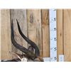Image 3 : Extra Nice African Nyala Full Body Taxidermy Mount