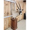 Image 3 : African Gemsbok Pedestal Taxidermy Mount
