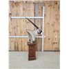 Image 4 : African Gemsbok Pedestal Taxidermy Mount