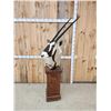 Image 7 : African Gemsbok Pedestal Taxidermy Mount