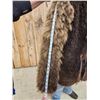 Image 6 : Bison Skin Coat