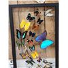 Image 2 : Frame Of 18 Beautiful Butterflies Taxidermy