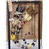 Image 8 : Frame Of 32 Beautiful Butterflies Taxidermy
