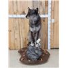 Image 1 : Big Alaskan Wolf Full Body Taxidermy Mount