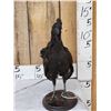 Image 1 : Ayam Cemani Rooster Full Body Chicken Bird Taxidermy