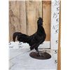 Image 2 : Ayam Cemani Rooster Full Body Chicken Bird Taxidermy