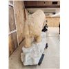 Image 10 : Spectacular Polar Bear Full Body Taxidermy Mount