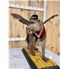 Image 3 : Wizard Of Oz Flying Monkey Full Body Taxidermy Mount