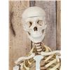 Image 2 : Medical Grade Reproduction Articulated Human Skelton