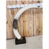 Image 2 : Pair Of Reproduction Elephant Tusks Taxidermy