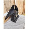 Image 5 : Pair Of European Carrion Crows On Antique Clock Bird Taxidermy