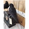 Image 6 : Pair Of European Carrion Crows On Antique Clock Bird Taxidermy
