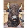 Image 2 : Spectacular Minotaur Full Body Taxidermy Mount