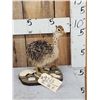 Image 1 : Baby Ostrich Full Body Taxidermy Mount