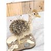 Image 4 : Baby Ostrich Full Body Taxidermy Mount