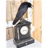 Image 3 : European Carrion Crow On An Antique Mantle Clock Full Body Bird Taxidermy
