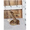 Image 2 : Big Diamondback Rattlesnake Full Body Taxidermy Mount