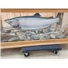 Image 3 : 39" Steelhead Fish Taxidermy