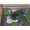 Image 2 : BIG Jumping Largemouth Bass Real Skin Fish Taxidermy