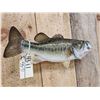 Image 5 : 18" Largemouth Bass Real Skin Fish Taxidermy