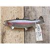 Image 1 : 12" Rainbow Trout Real Skin Fish Taxidermy