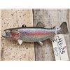 Image 2 : 12" Rainbow Trout Real Skin Fish Taxidermy