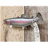 Image 3 : 12" Rainbow Trout Real Skin Fish Taxidermy