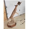 Image 4 : African Caracal Cat Leaping For A Bird Taxidermy Mount