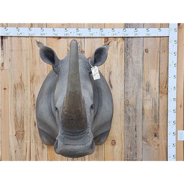 Reproduction African White Rhinoceros Shoulder Mount Taxidermy