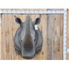 Image 1 : Reproduction African White Rhinoceros Shoulder Mount Taxidermy