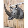 Image 7 : Reproduction African White Rhinoceros Shoulder Mount Taxidermy