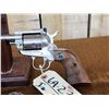 Image 2 : Ruger New Model Single Six .22 / .22 Magnum Revolver Stainless