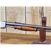 Image 11 : Winchester Model 06 .22 Pump Rifle