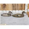 Image 2 : Group Of Vintage Wooden Duck Decoys