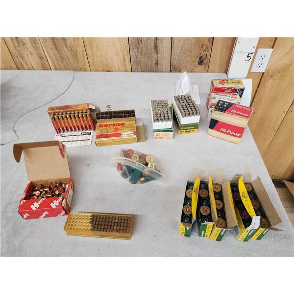Miscellaneous Ammunition Lot