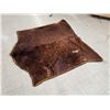 Image 2 : Early 1900s Horse Hide Buggy Blanket Dubuque Iowa