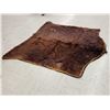 Image 4 : Early 1900s Horse Hide Buggy Blanket Dubuque Iowa