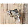 Image 3 : 17" Crappie Real Skin Fish Taxidermy