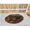Image 1 : XL Soft Tanned Beaver Fur Taxidermy