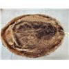Image 2 : XL Soft Tanned Beaver Fur Taxidermy