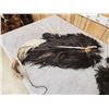 Image 2 : Pair Of Tanned Ostrich Wings Taxidermy