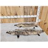 Image 1 : 2 Soft Tanned Badger Furs Taxidermy